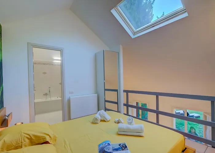 France - Happy Dom wakacyjny