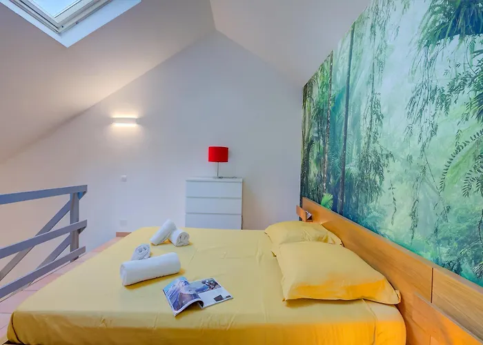 France - Happy Dom wakacyjny